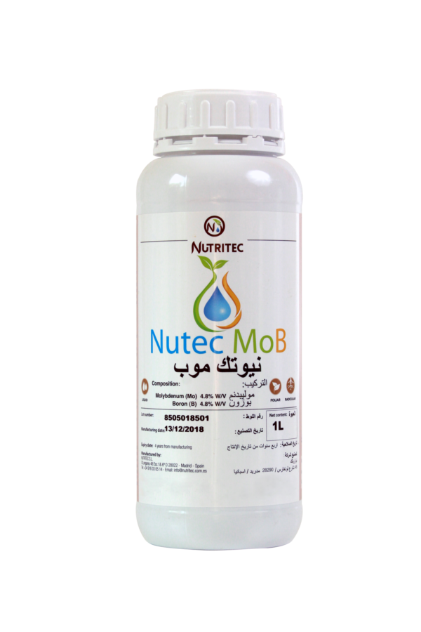 نيوتك موب